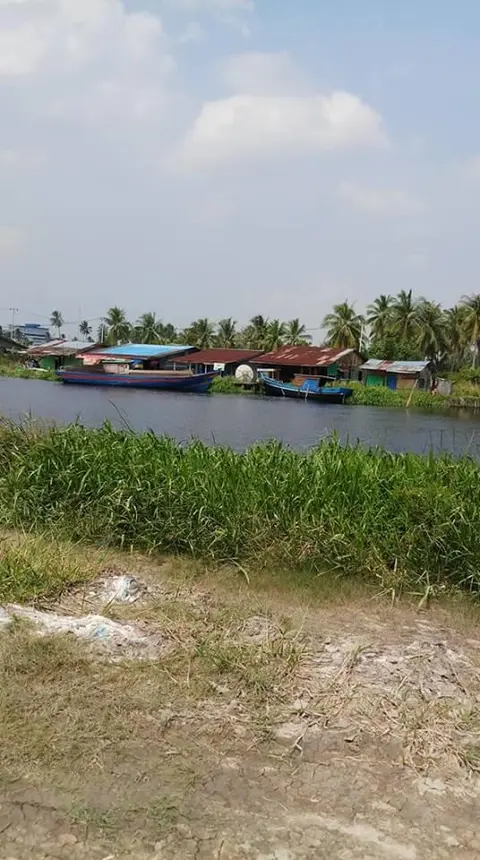 Pulau Burung