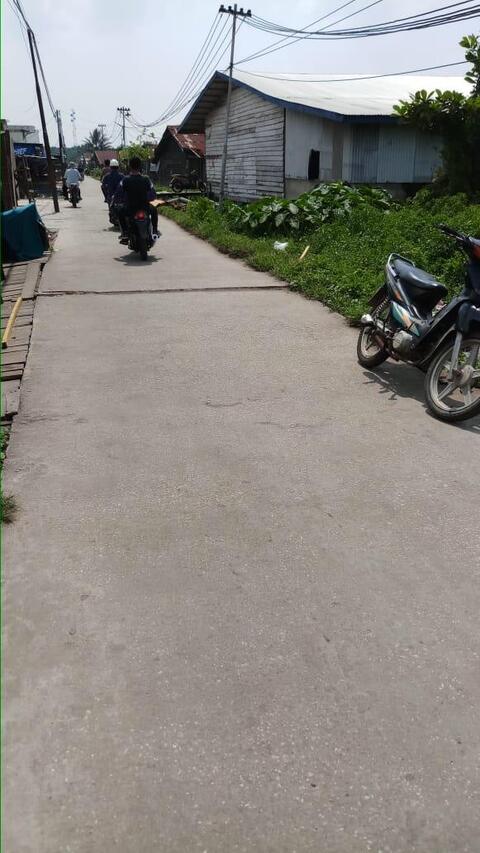 Pulau Burung