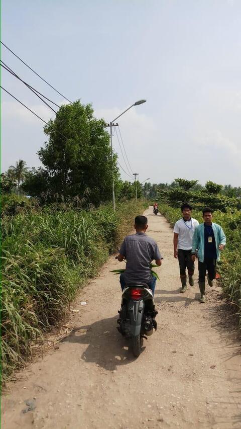 Pulau Burung